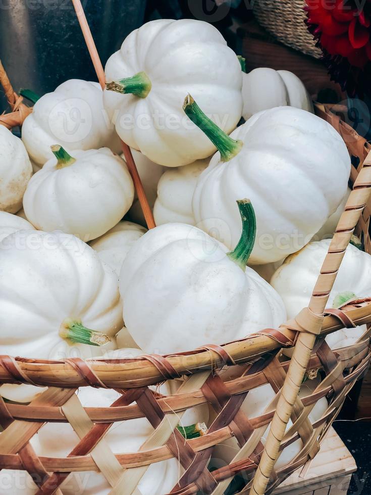 pilha de abóboras brancas decorativas na cesta no mercado foto