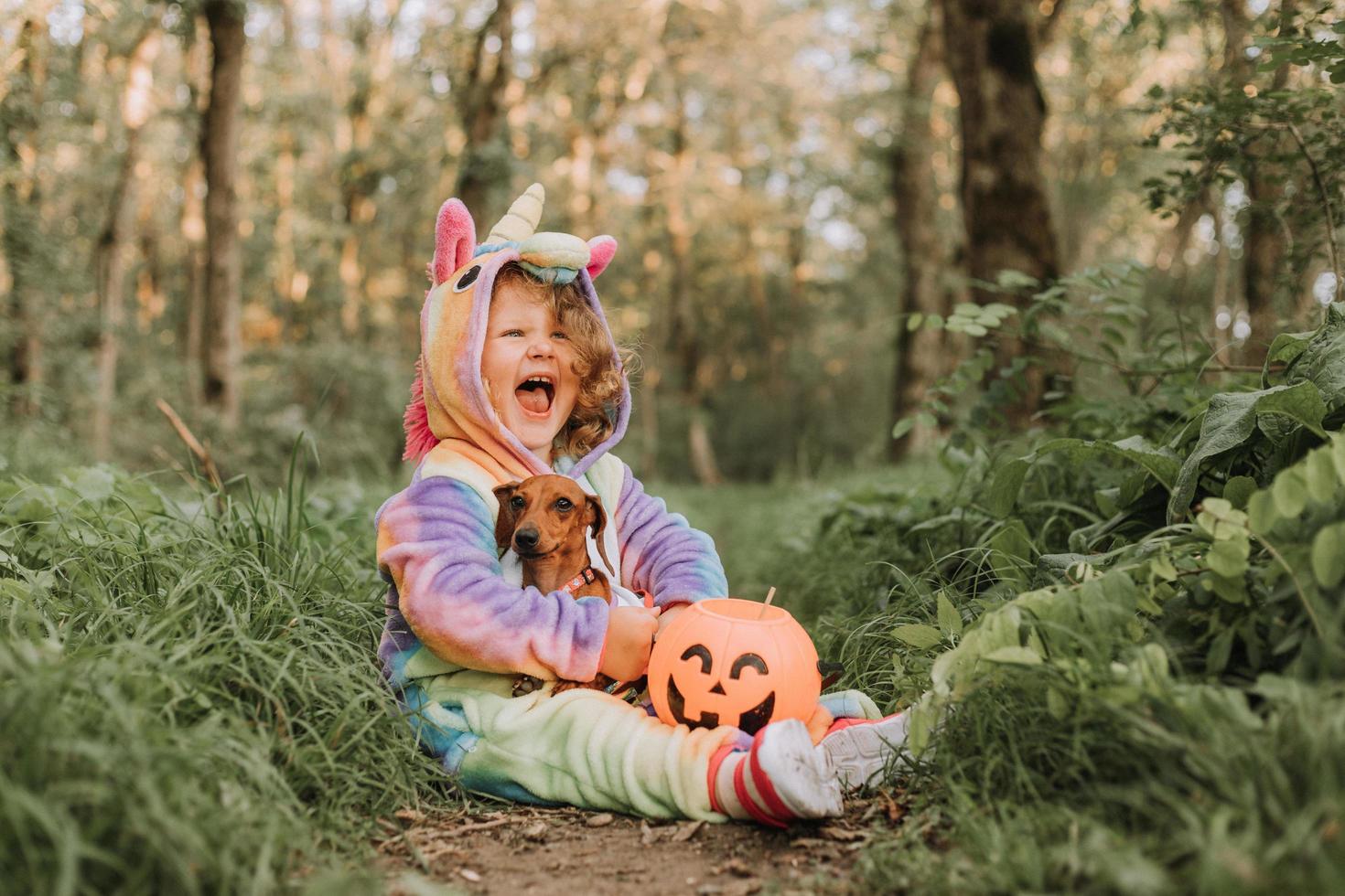 garotinha rindo e um dachshund anão em trajes de halloween com uma cesta de abóbora para doces ao ar livre. uma garota em uma fantasia de kigurumi de unicórnio arco-íris, um cachorro em um vestido com uma saia cheia. vista do topo foto