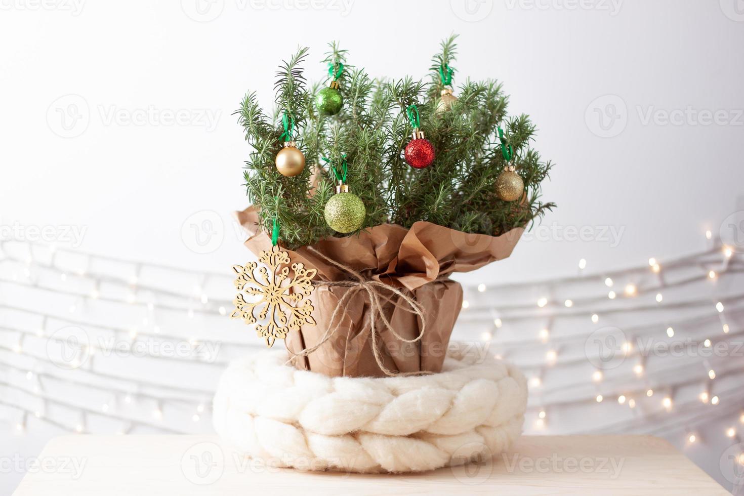 zero desperdício decoração natural de natal com alecrim como árvore de natal alternativa em fundo branco. close-up, copie o espaço foto