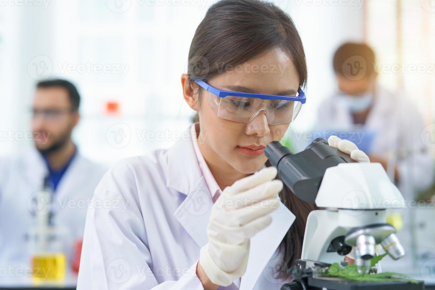 mulher cientista pesquisa procurando microscópio extrato químico de maconha no laboratório agro da fazenda. médico ou farmacêutico teste biotecnologia erva folha medicina alternativa legal em laboratório medicina médica foto