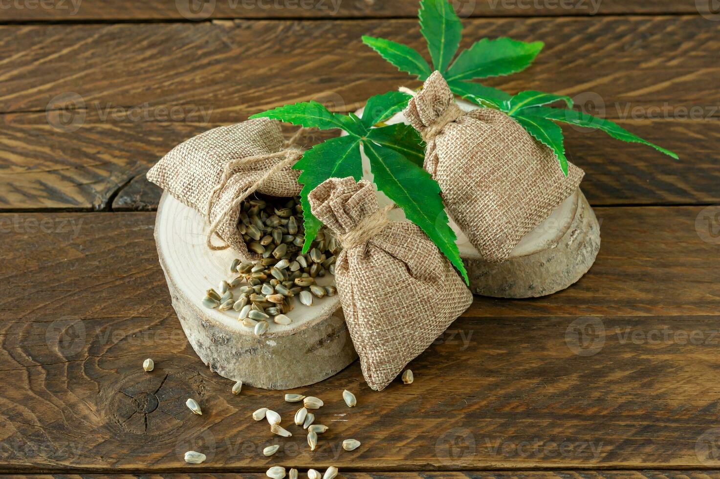 sementes de cannabis, folhas de cânhamo verde sobre fundo de madeira, conceito de cannabis medicinal. foto