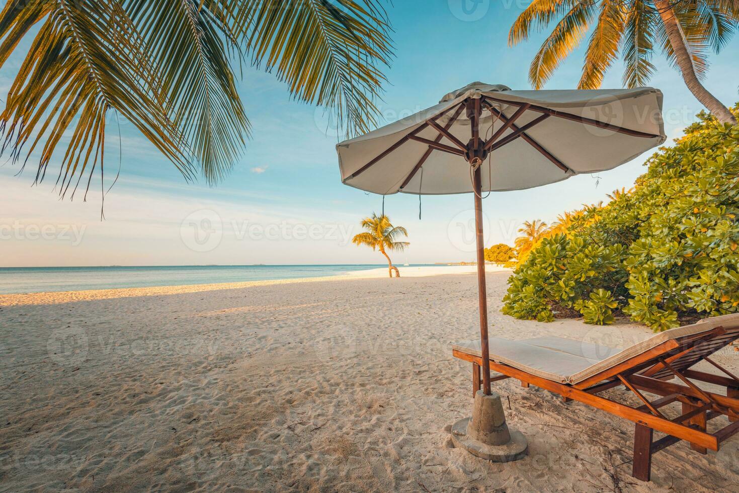 linda bandeira de praia tropical. areia branca e palmeiras de coco viajam turismo amplo conceito de fundo panorama. paisagem de praia incrível. cenário maravilhoso da praia, folhas de palmeira e espreguiçadeiras com vista para o mar foto