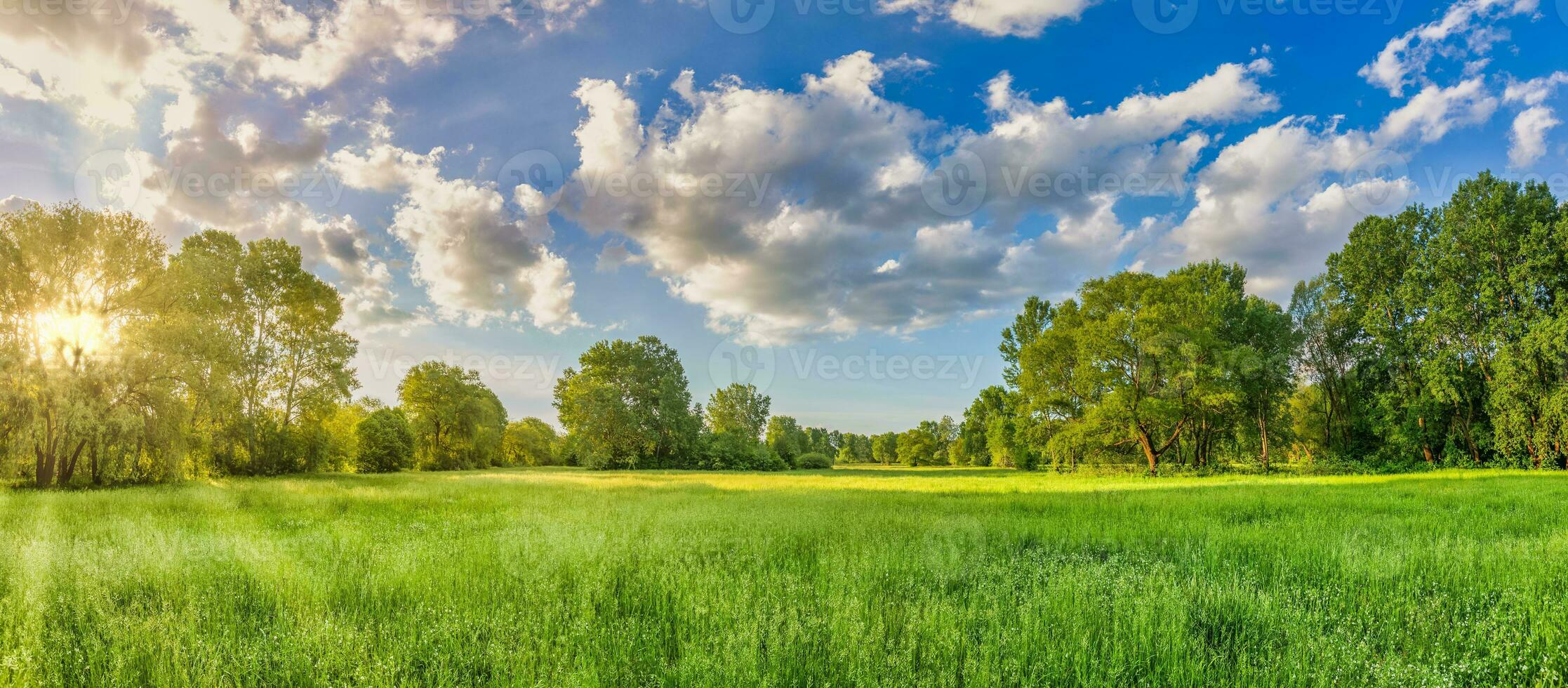 paisagem panorâmica de montanha idílica. prados verdes frescos e flores silvestres desabrochando, raio de sol. bela vista do campo da natureza, rural ensolarado ao ar livre natural. bandeira brilhante natureza primavera verão panorama foto