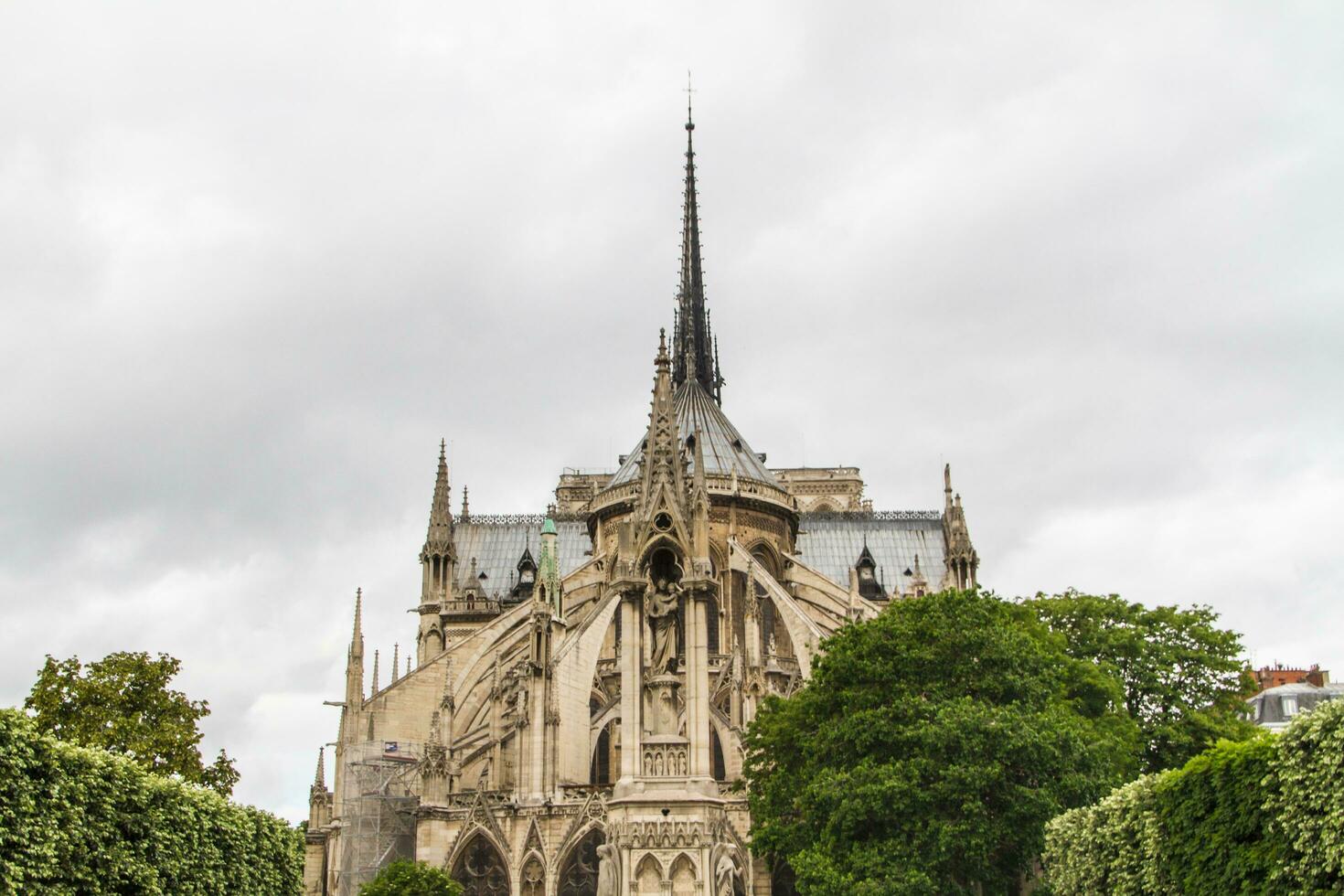 vista de notre dame foto