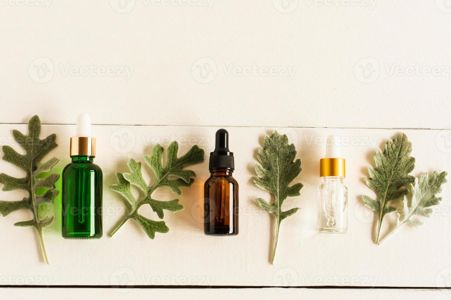 layout plano de frascos de cosméticos com uma pipeta de diferentes cores e formas com óleos essenciais naturais e folhas prateadas de plantas. copie o espaço. foto