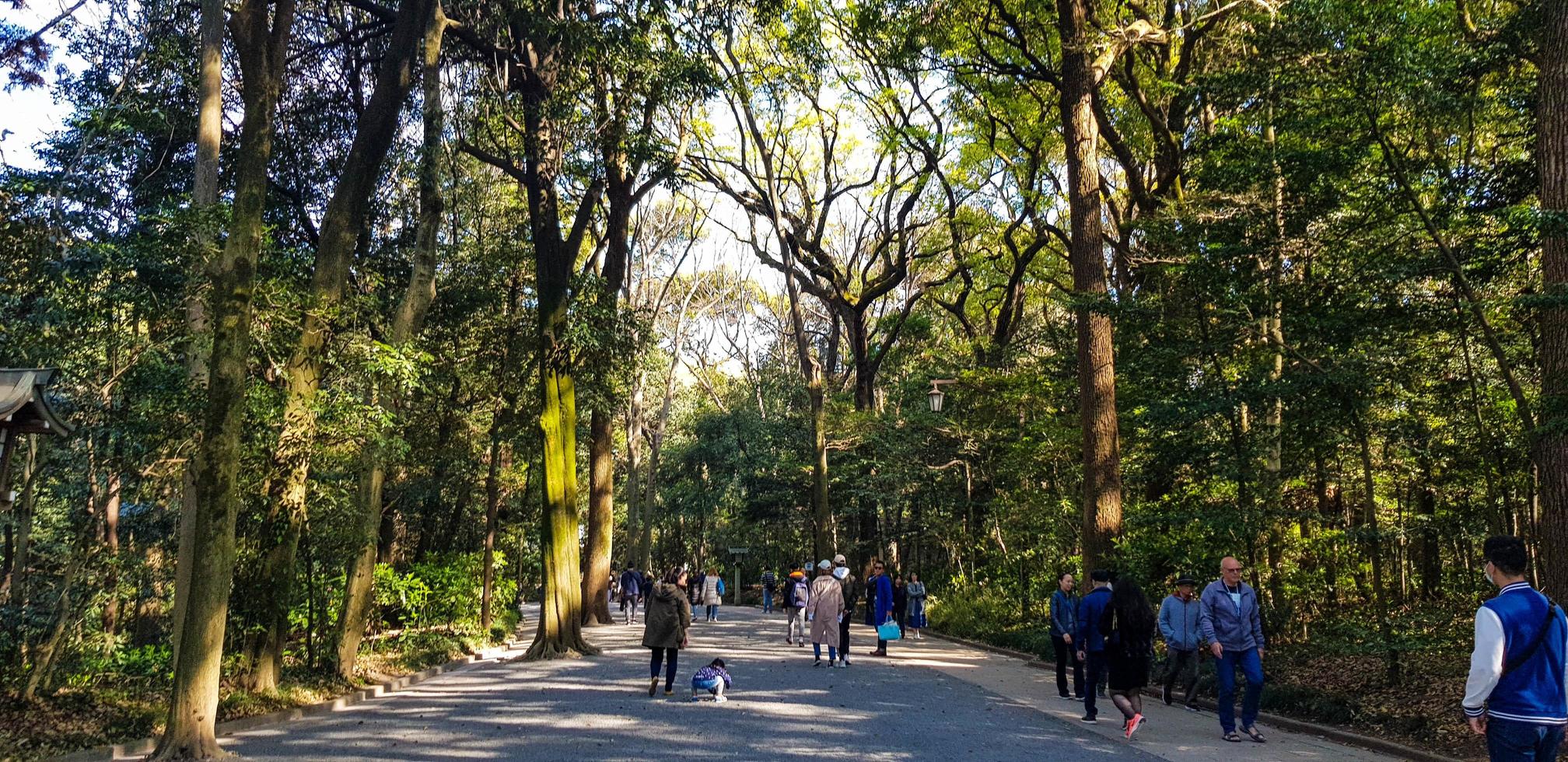 japão em abril de 2019 turistas caminhando na entrada da floresta da cidade de harajuku em direção ao santuário meiji. foto