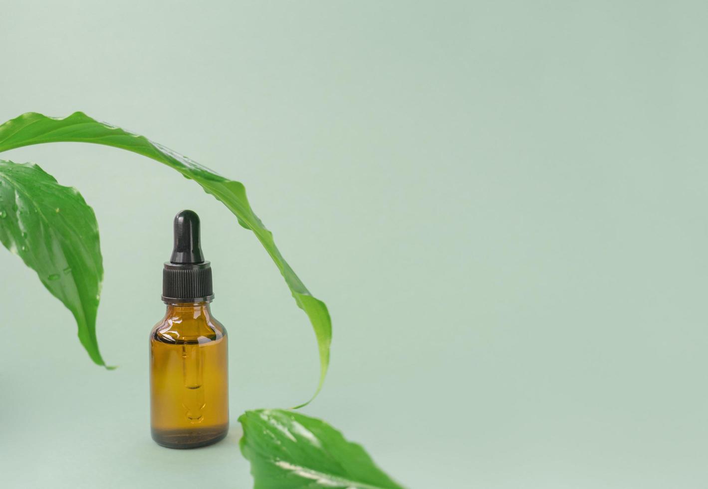 soro, óleo, loção em um frasco conta-gotas marrom com folhas verdes, fundo verde, copie o espaço. produto de spa. orgânicos, bio, cosméticos naturais. beleza, conceito de cuidados com a pele. foto