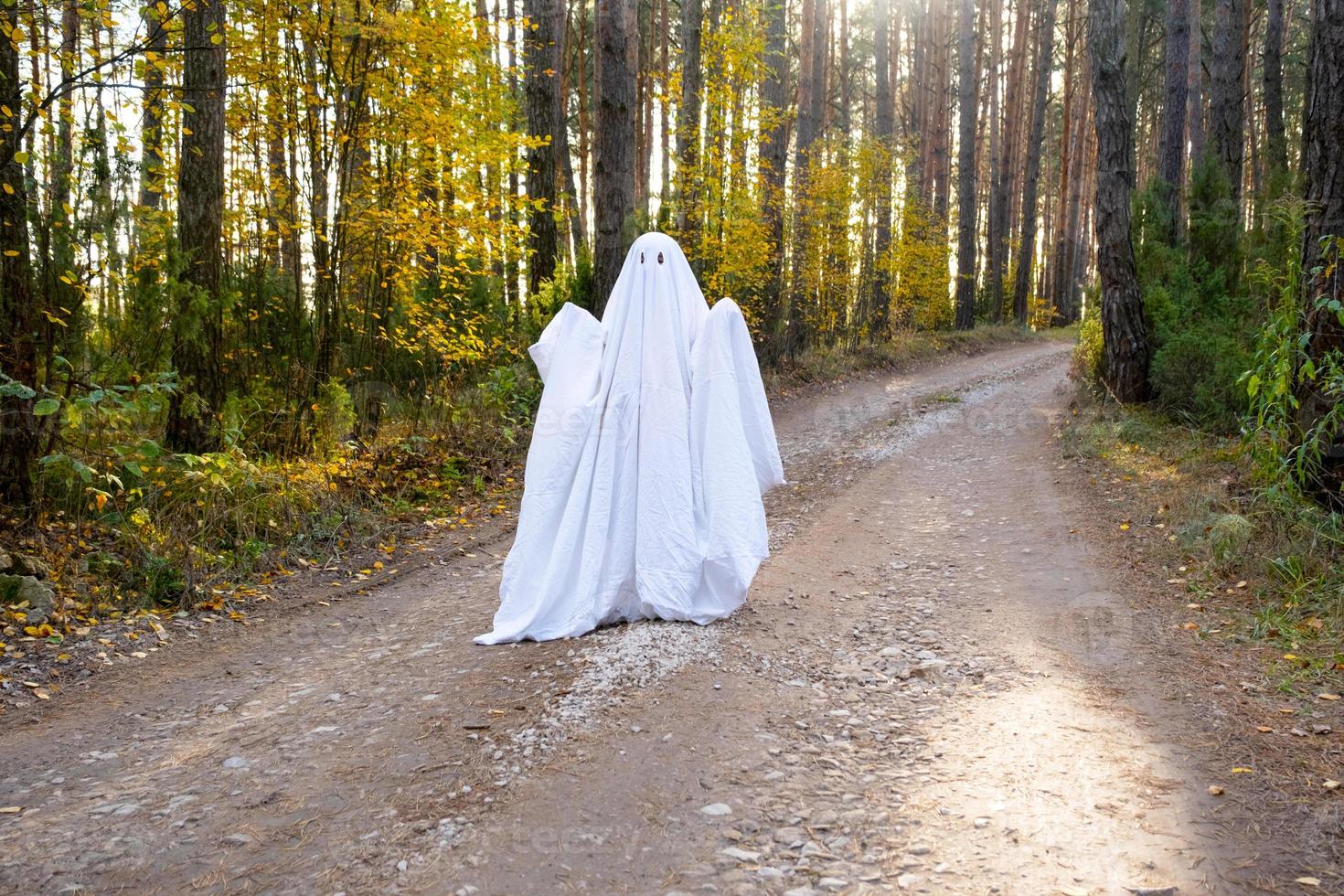 uma criança em lençóis com recorte para os olhos como uma fantasia de fantasma em uma floresta de outono assusta e aterroriza. um tipo de fantasma engraçado. festa de Halloween foto