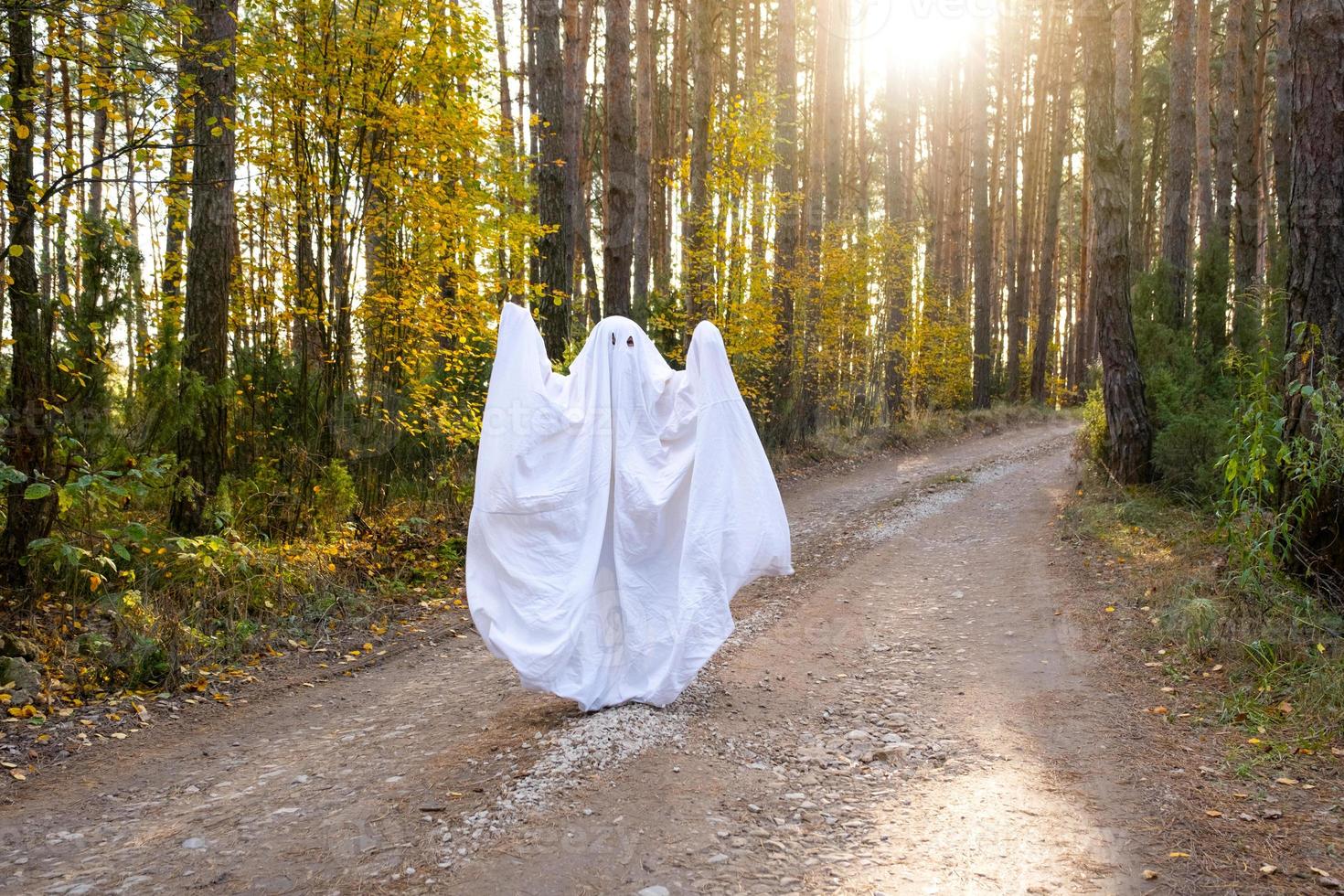 uma criança em lençóis com recorte para os olhos como uma fantasia de fantasma em uma floresta de outono assusta e aterroriza. um tipo de fantasma engraçado. festa de Halloween foto