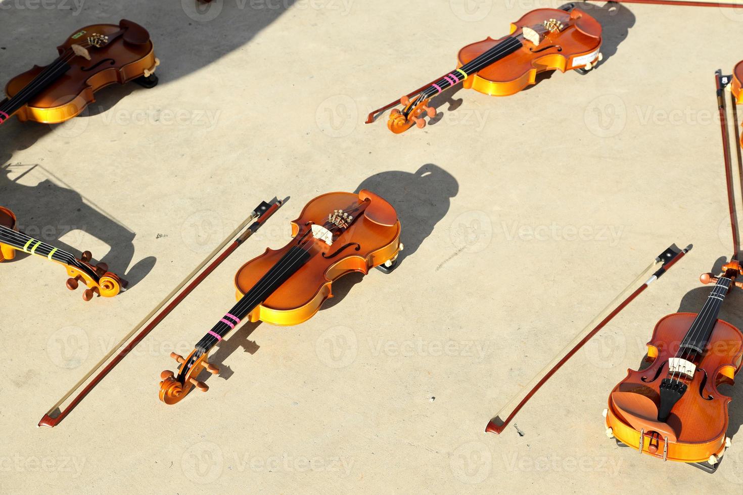 grupo de violino foto