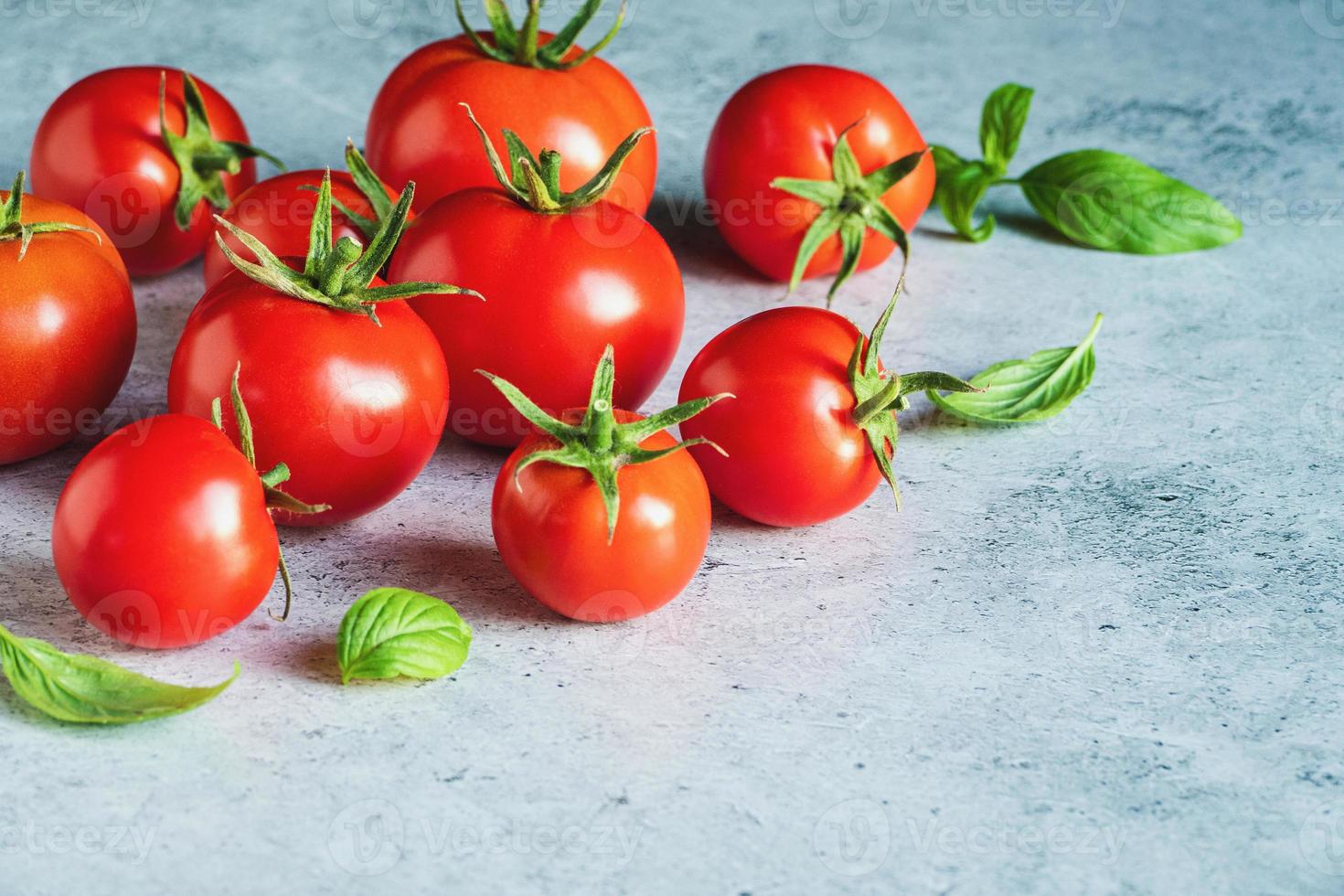 tomate com folhas de manjericão em fundo cinza de concreto, copie o espaço foto