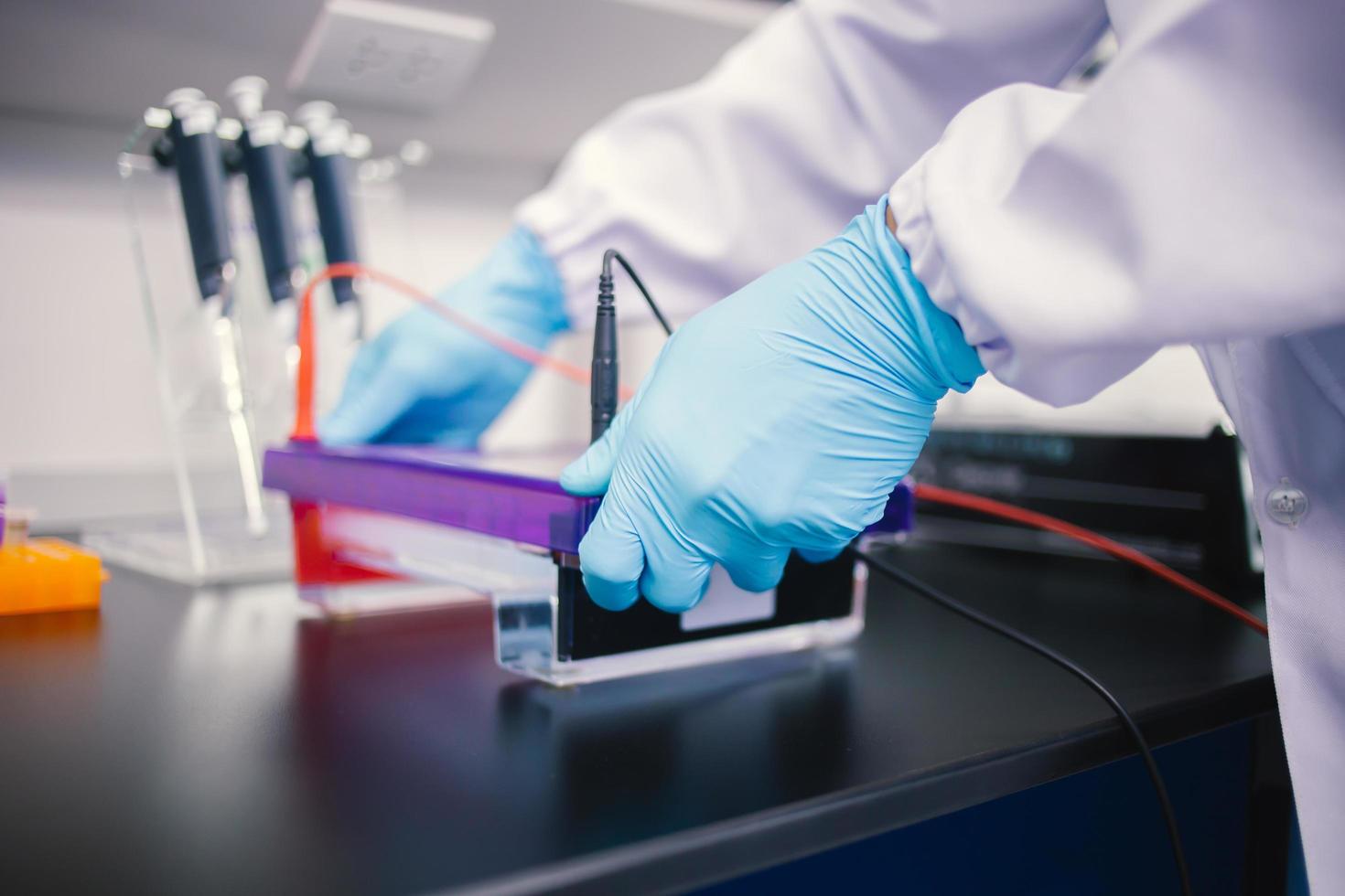 assistente de laboratório colocando tubos de ensaio no suporte, visão de perto focada nos tubos foto