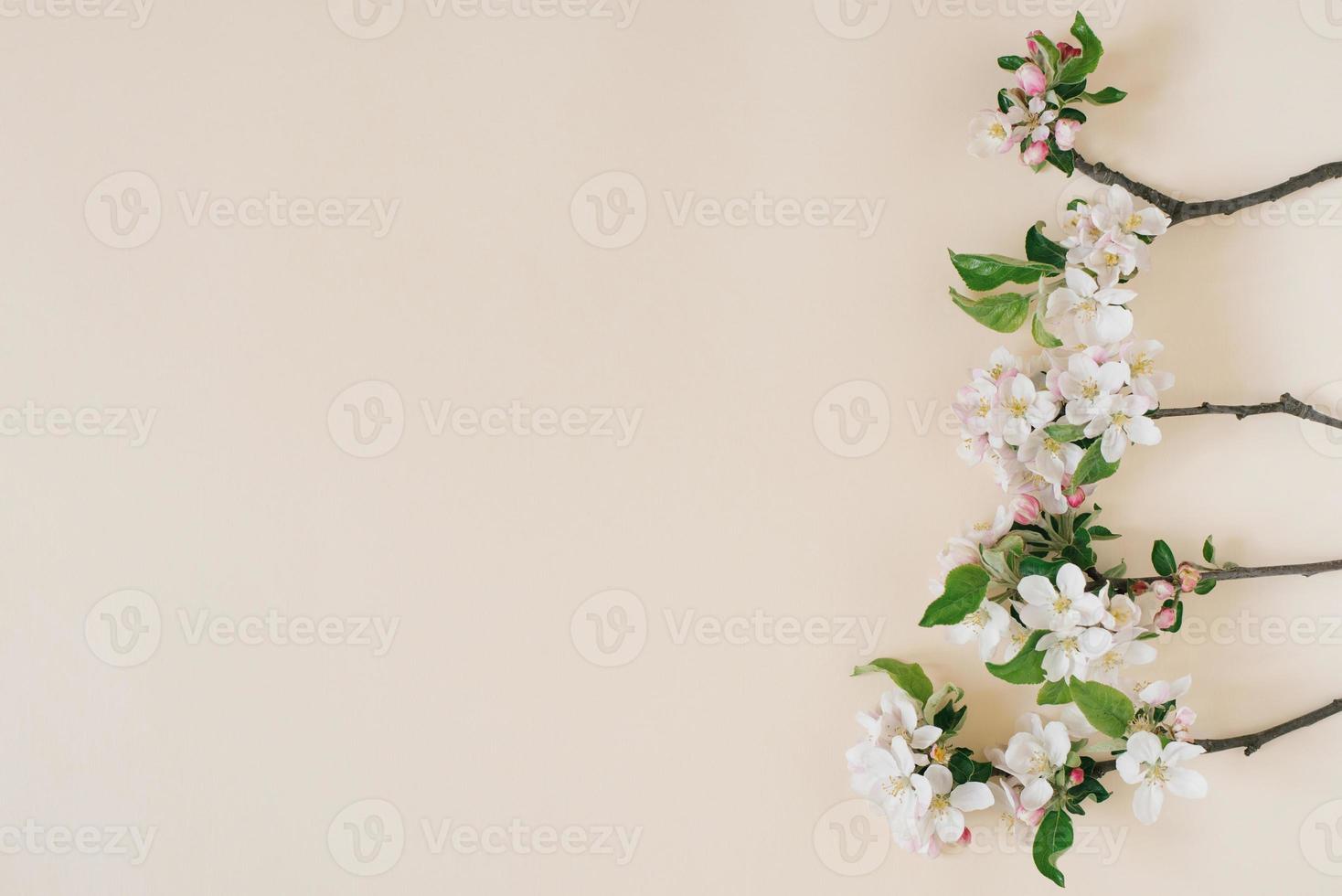 flores de primavera de maçã em um fundo bege. postura plana, vista superior com espaço de cópia foto