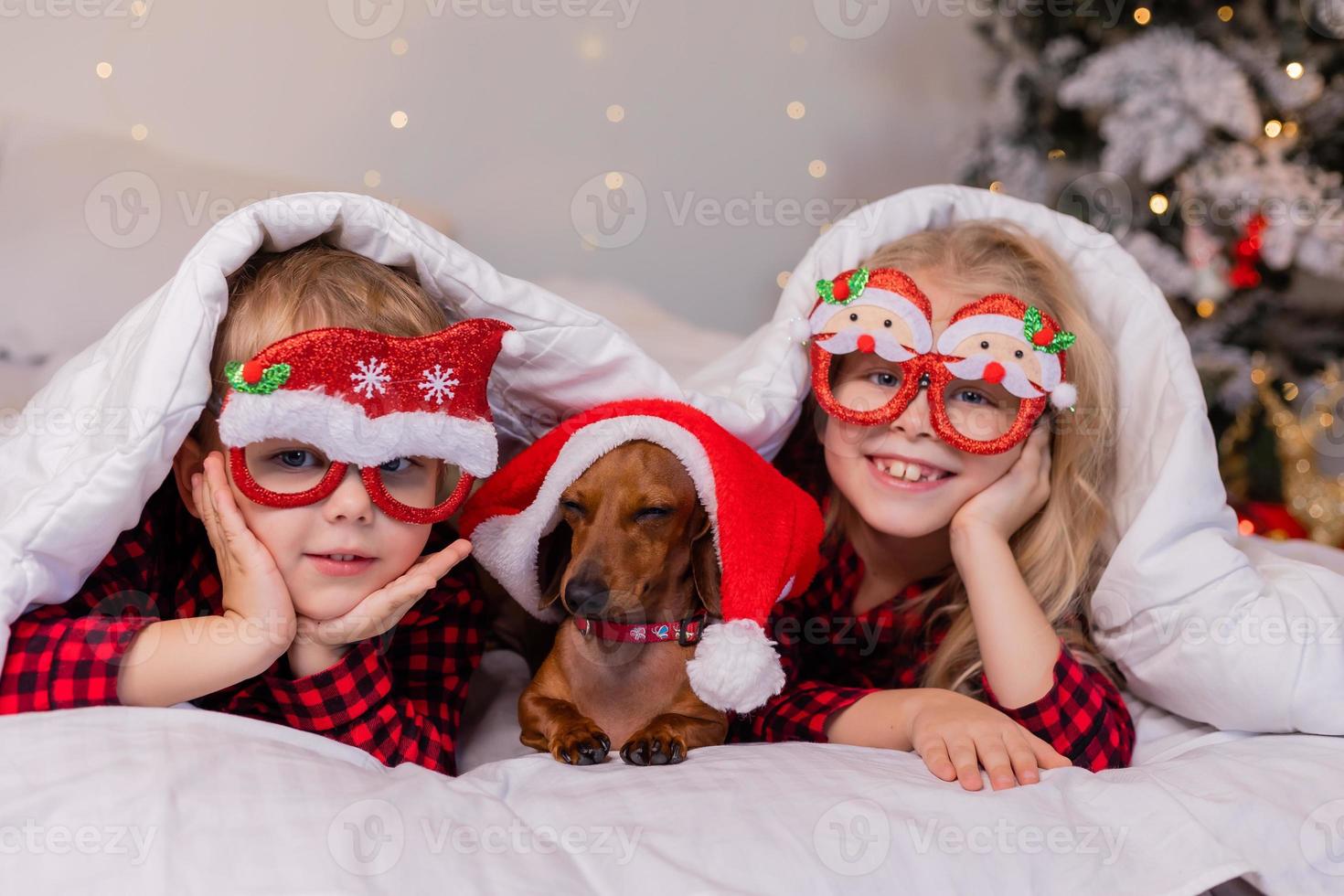 duas crianças, um menino e uma menina, estão deitados na cama com seu amado animal de estimação para o natal. foto de alta qualidade