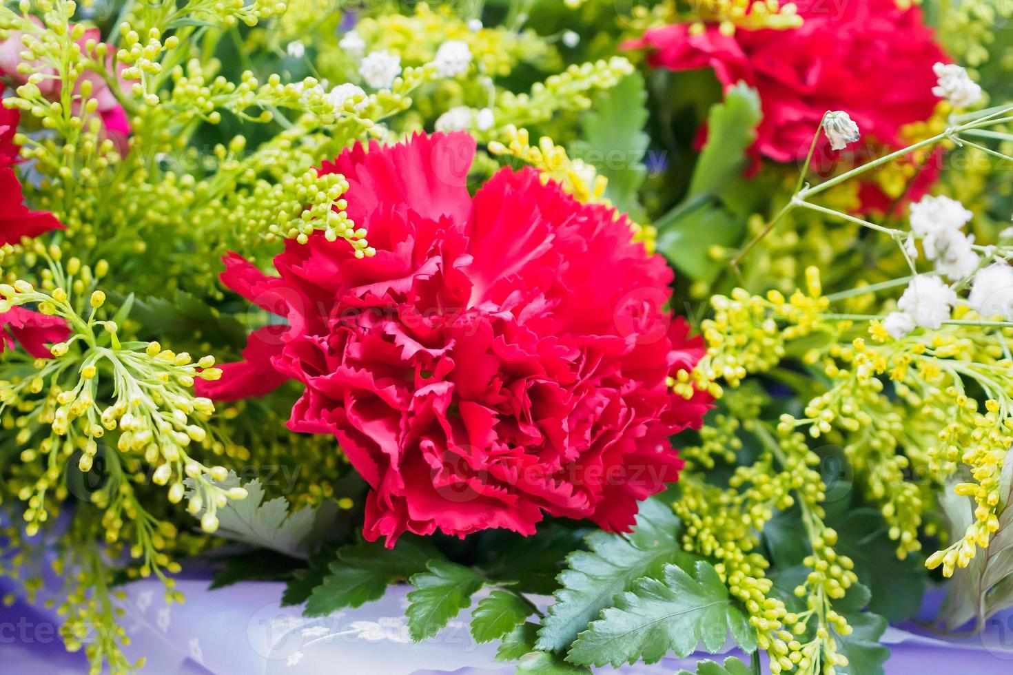 buquê de flores de cravo vermelho com fundo de folhas verdes foto