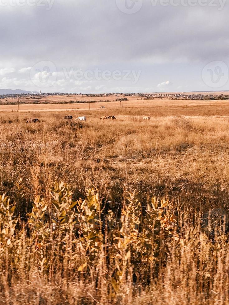 lado da estrada da montanha foto