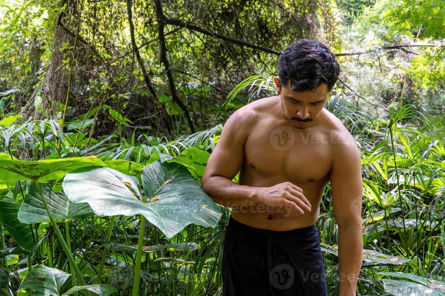 homem latino-americano fazendo postura de ioga, postura de ioga, abelha para trás prsthatah brahmara, floresta foto