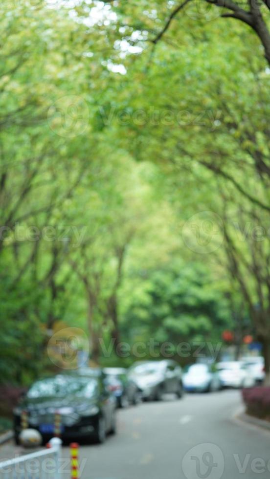 a bela vista do jardim com as folhas verdes frescas e flores no verão foto