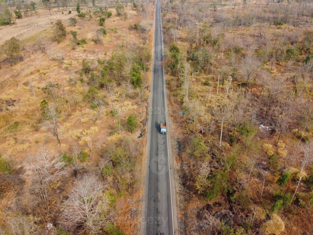 árida floresta amarela, a estrada na floresta estava cheia de árvores enegrecidas por incêndios florestais. foto