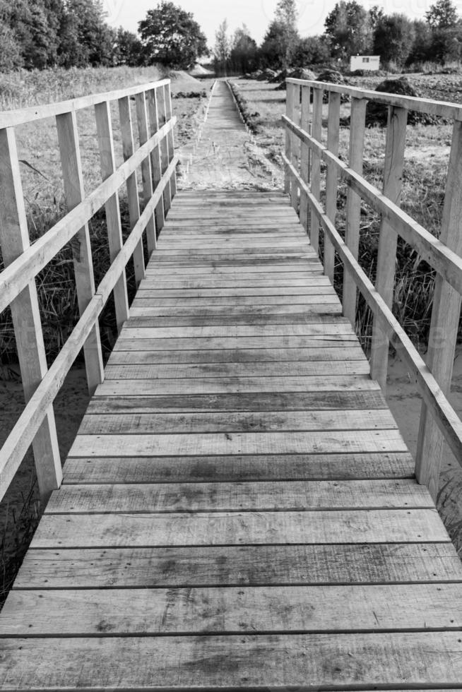 ponte de madeira na floresta foto