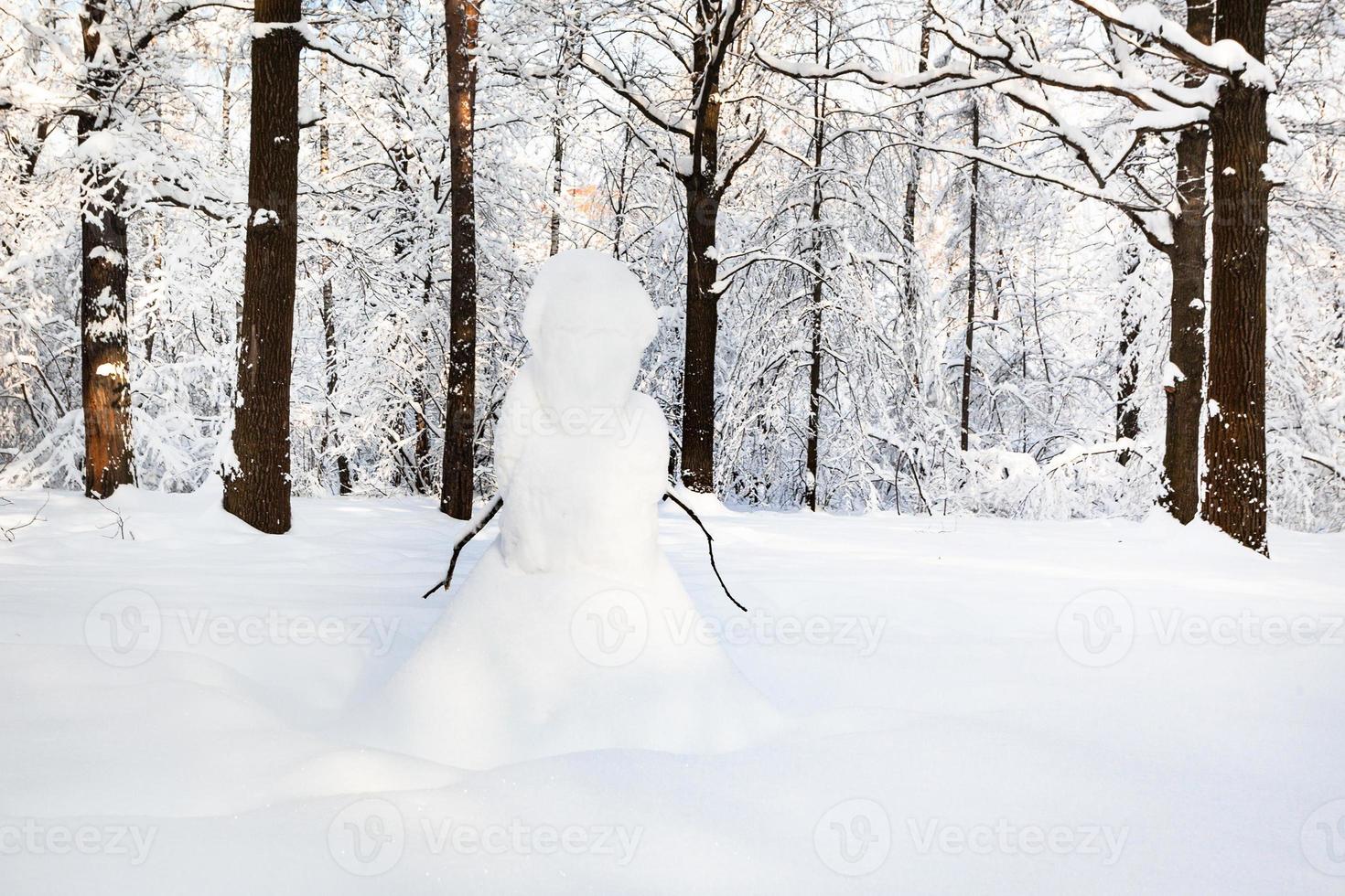 boneco de neve na clareira de neve no parque florestal no inverno foto