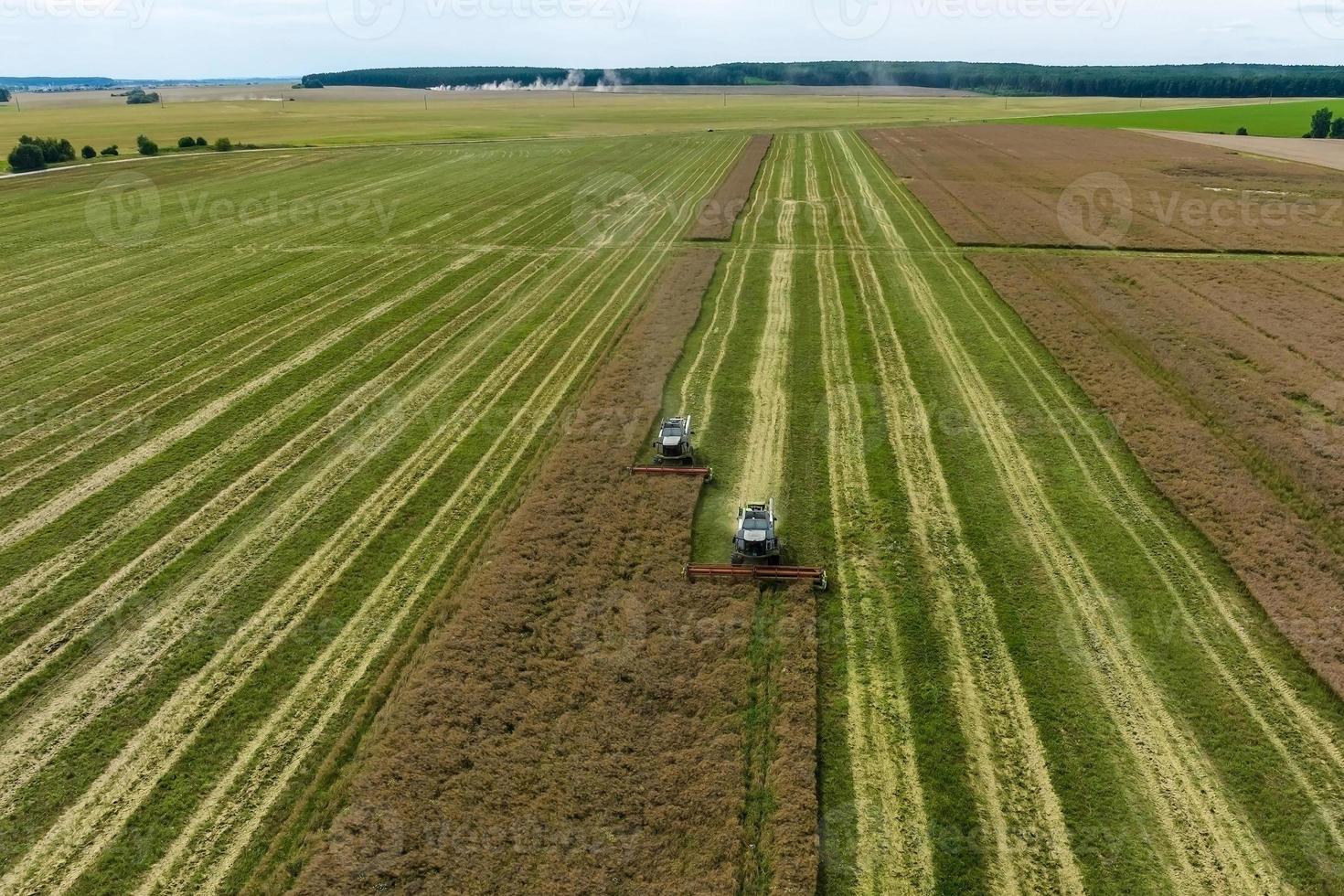 vista aérea sobre colheitadeiras pesadas modernas removem o pão de trigo maduro no campo. trabalho agrícola sazonal foto