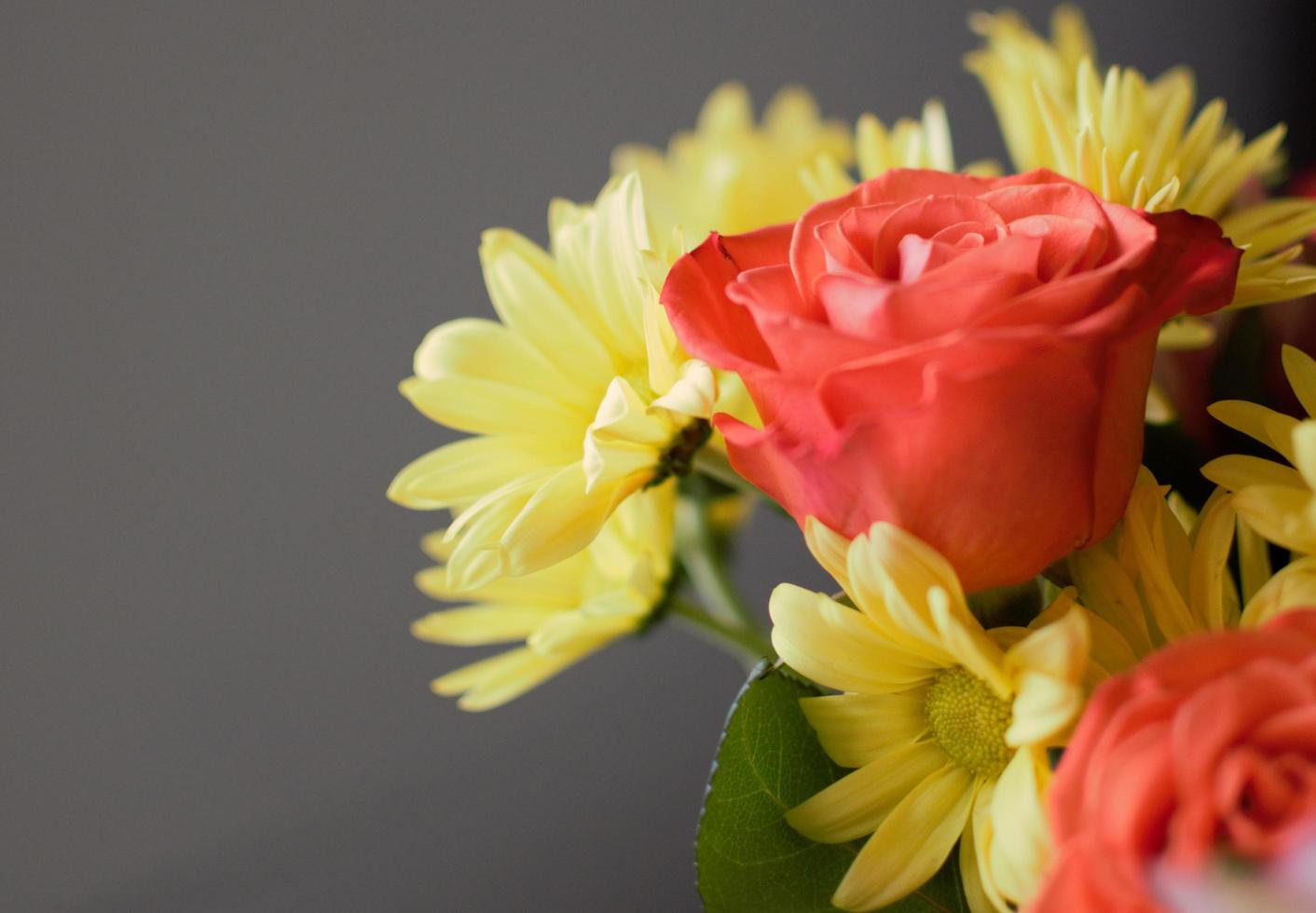 close-up de flores vermelhas e amarelas foto