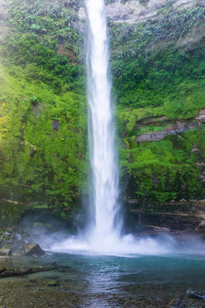 cachoeira no salto del claro, chile foto