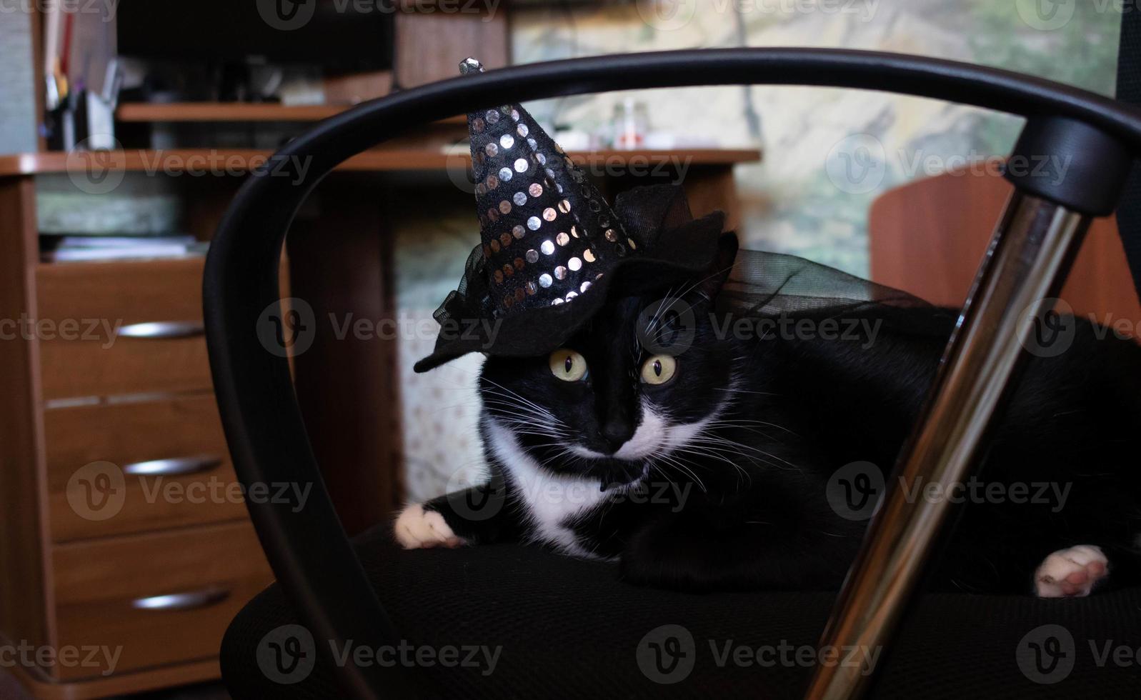 um gato preto com um chapéu de bruxa para o halloween. deitado em uma cadeira de computador foto