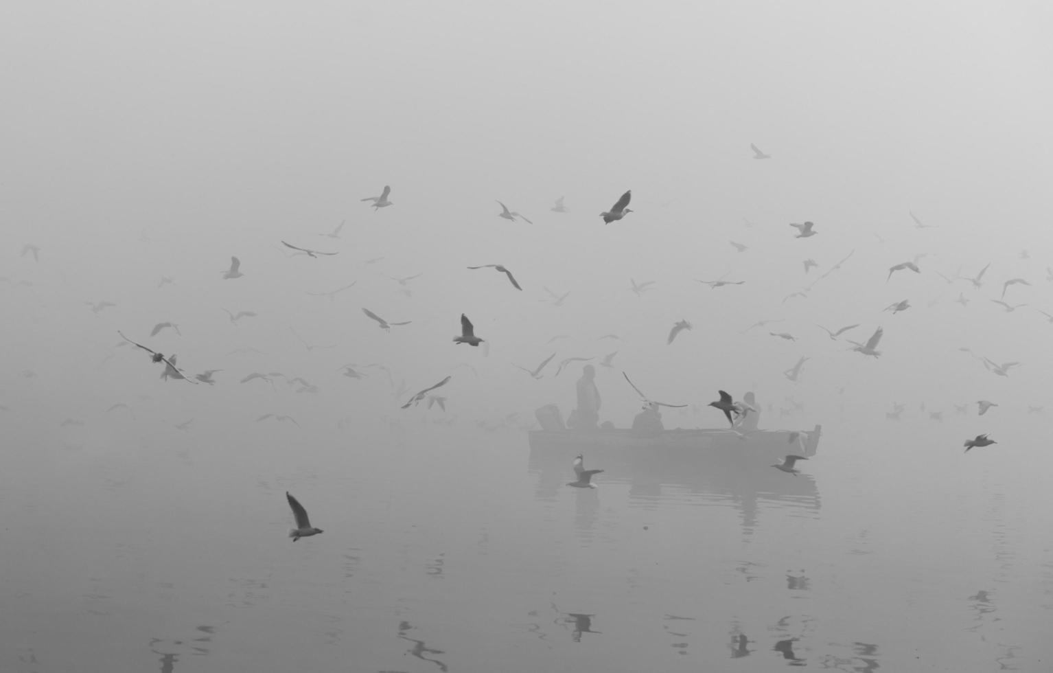 gaivotas voando sobre um barco no rio yamuna em delhi, índia foto