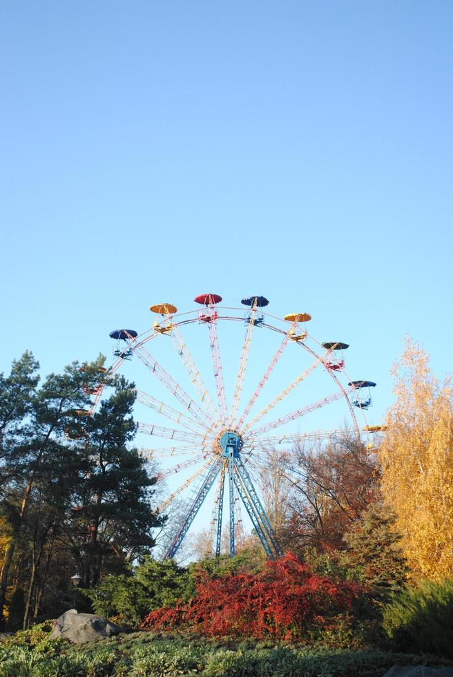 roda gigante entre árvores no parque foto