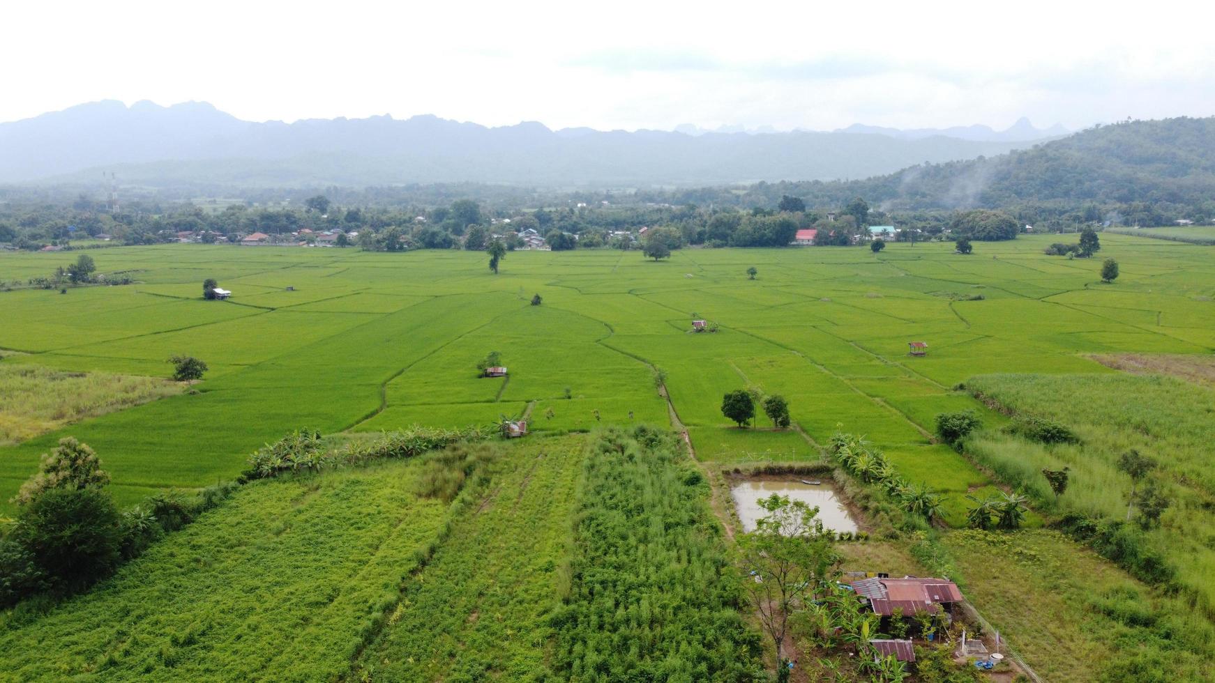 campos de arroz em terraços na estação chuvosa foto