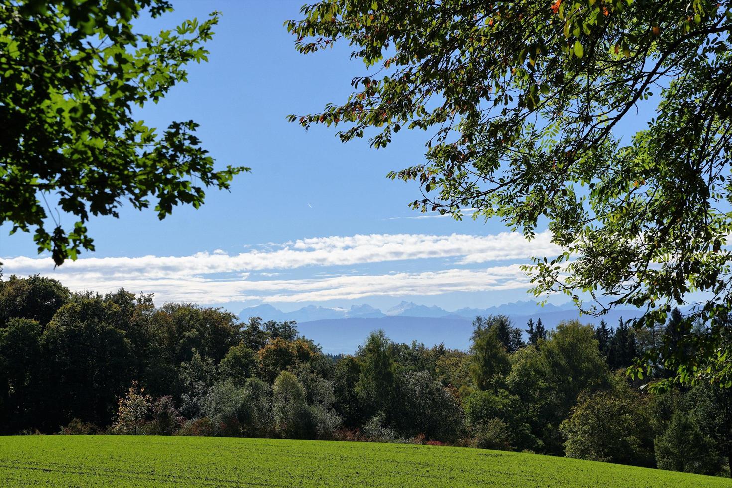 Prado em Zollikon foto