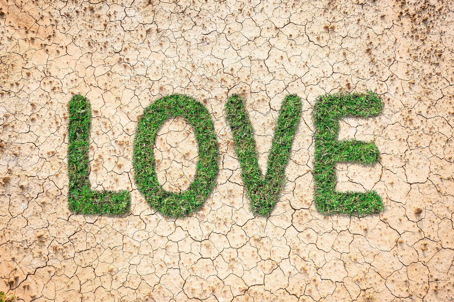 mensagem de amor na grama verde foto