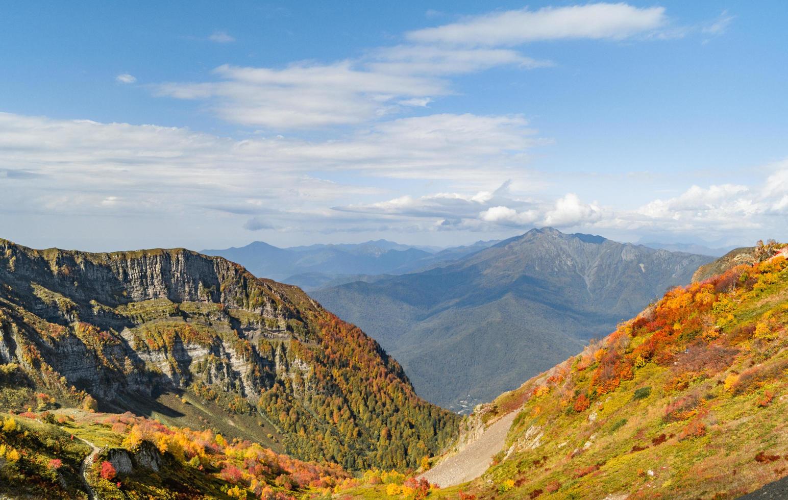 árvores de outono nas montanhas foto