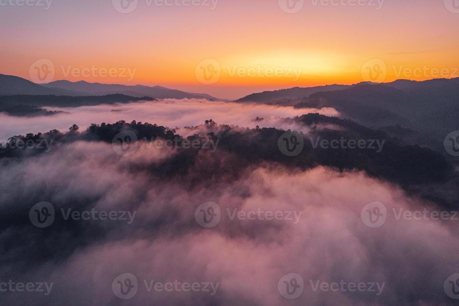 névoa da manhã e nuvens na floresta de colina foto
