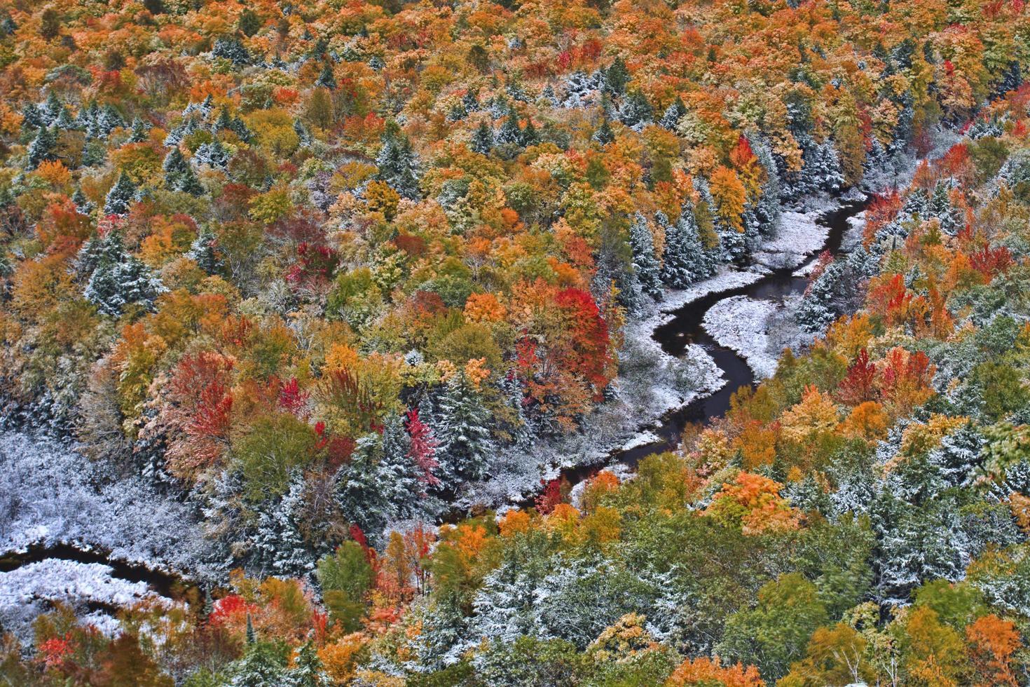 vista aérea de uma floresta de outono e um rio com queda de neve foto