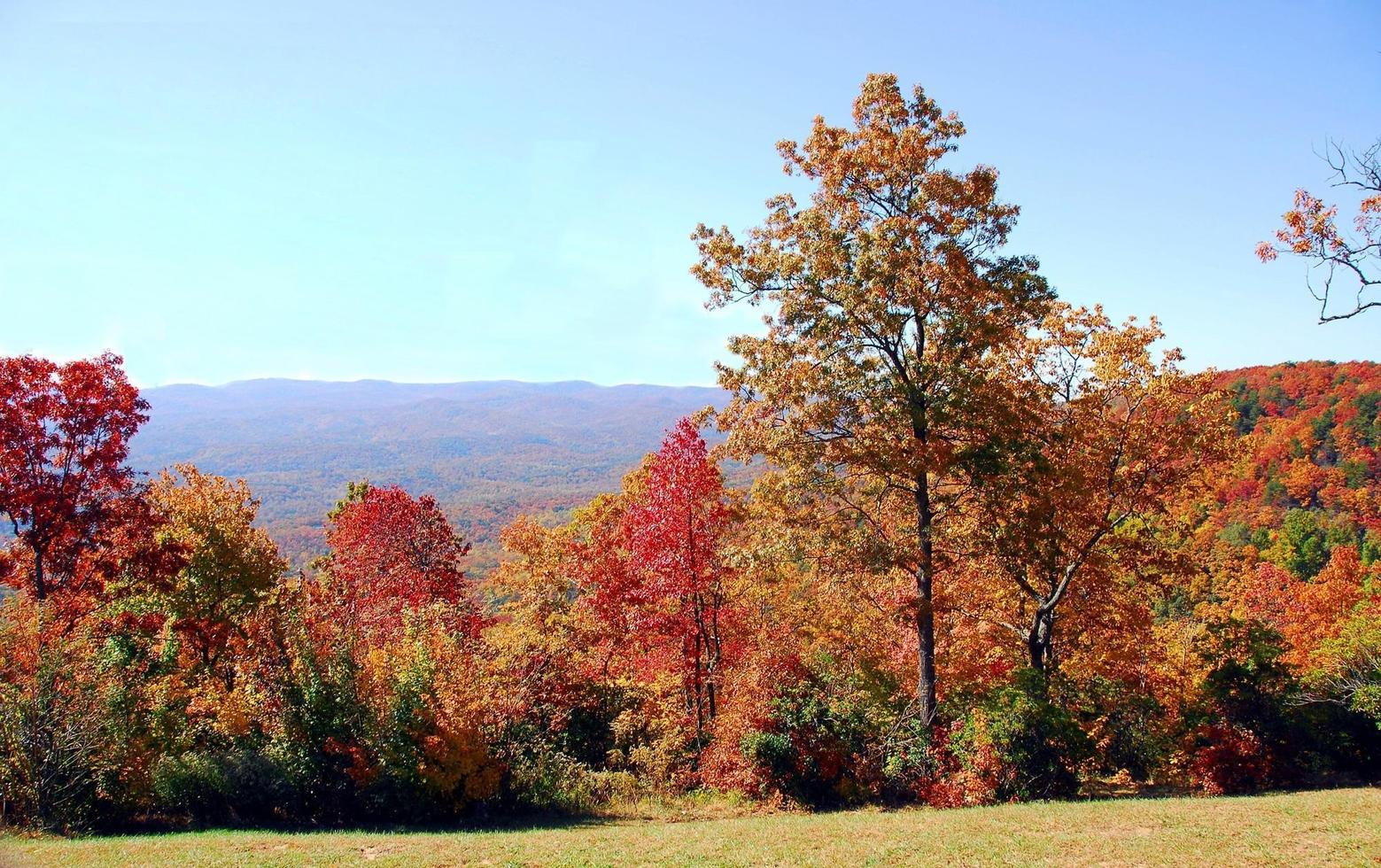 paisagem de outono vibrante foto
