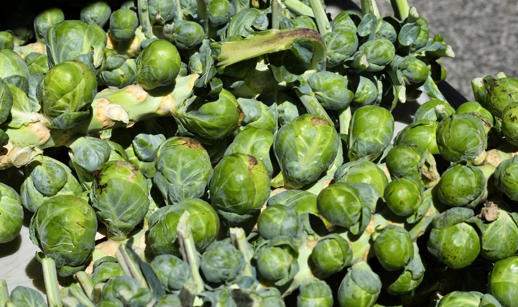 couve-de-bruxelas no mercado foto