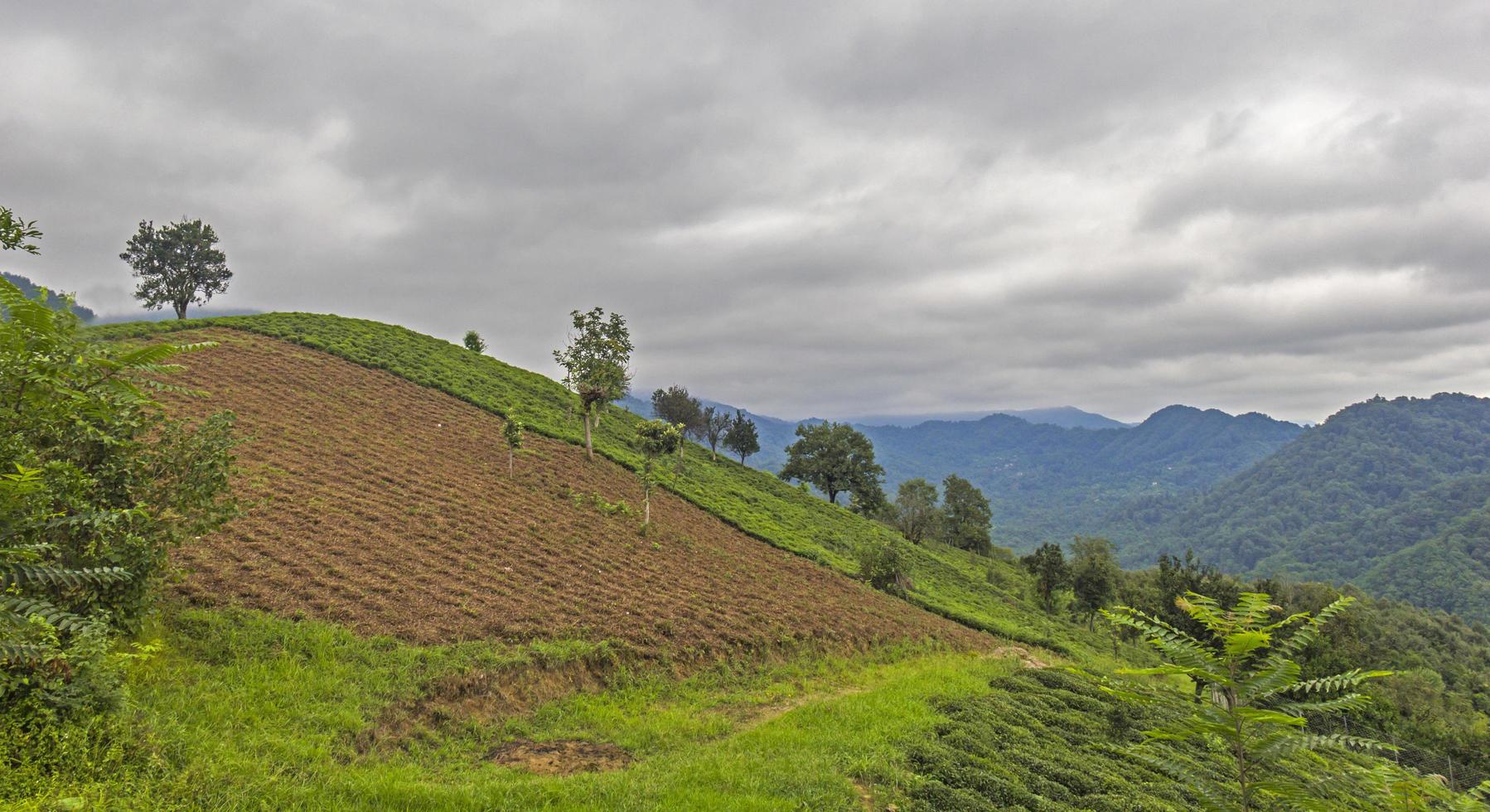 paisagem nublada no topo da colina foto