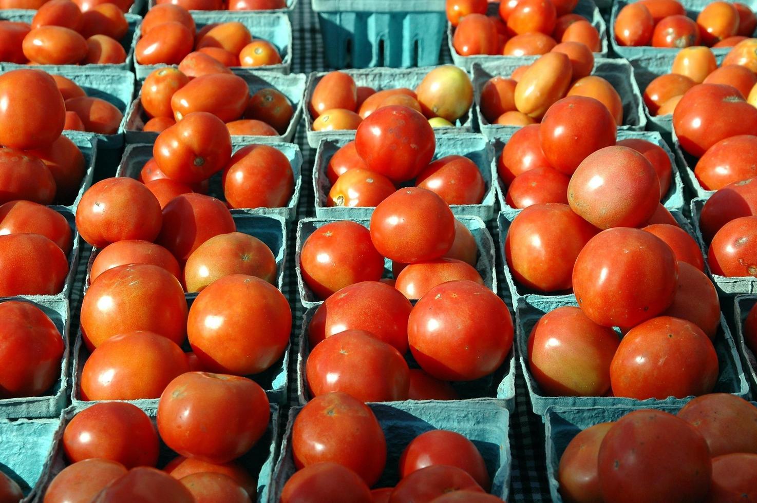 tomates à venda foto