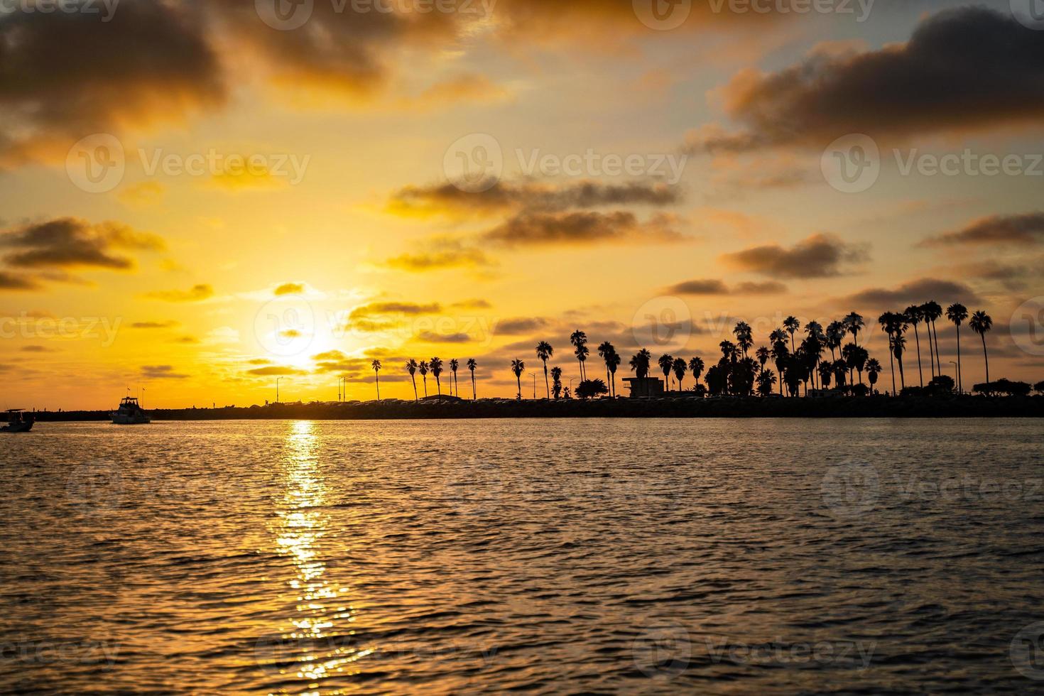 pôr do sol no oceano pacífico com silhueta de palmeira foto