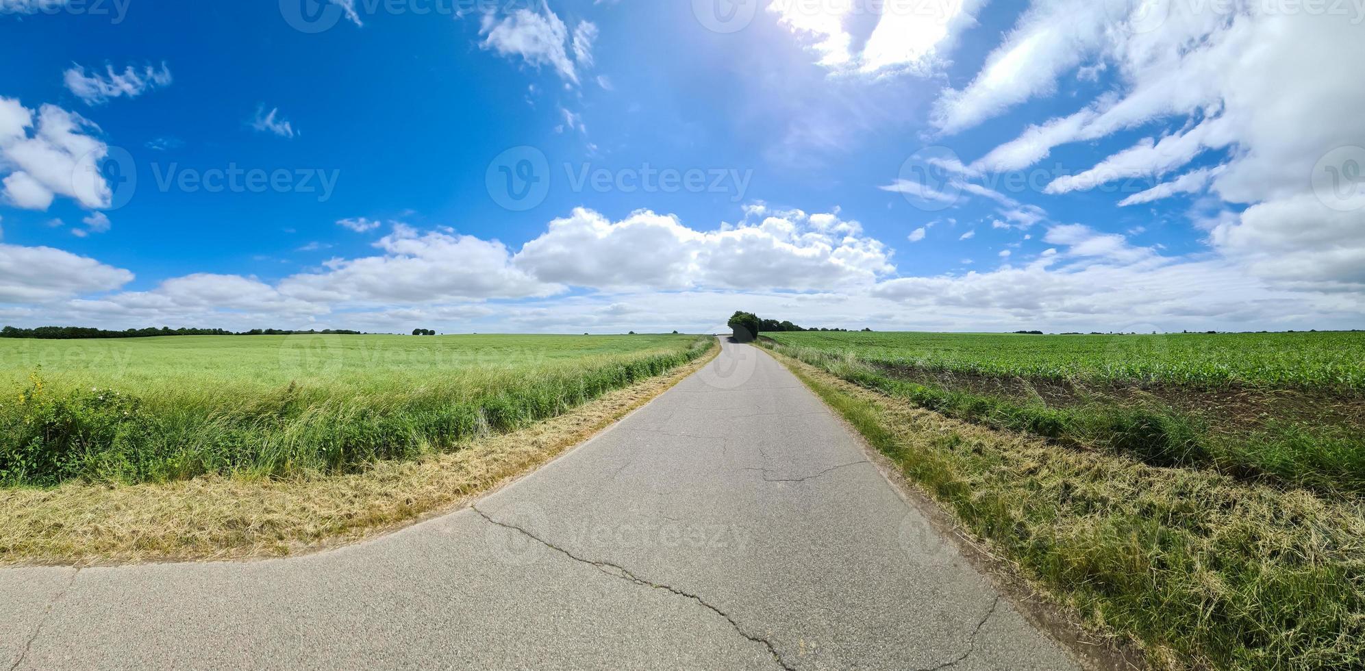 panorama de uma paisagem de país do norte da Europa com ruas, campos e grama verde. foto