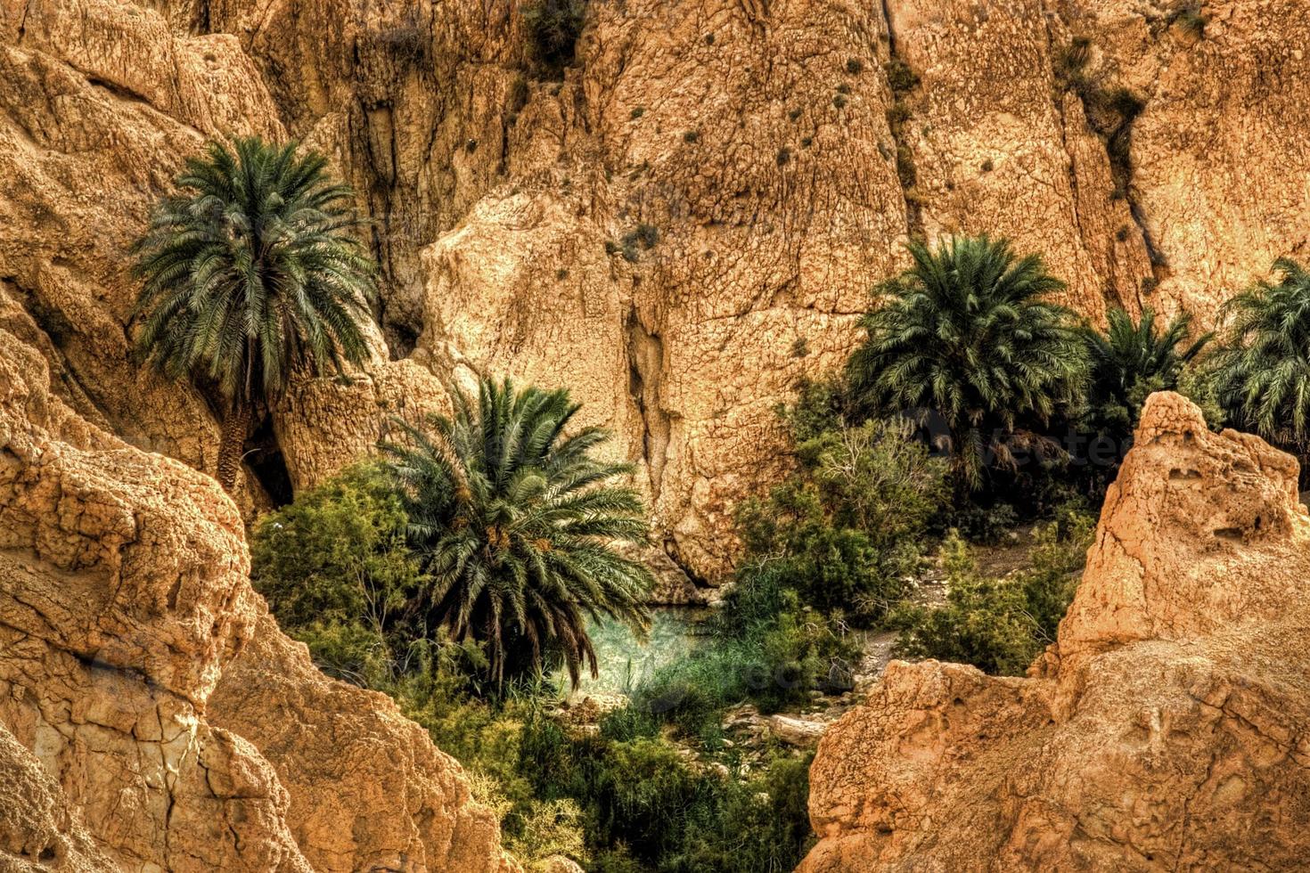 Tunísia Moutain Oasis foto