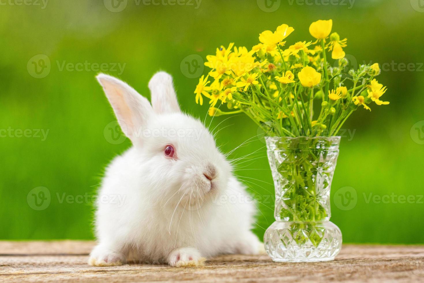 engraçado coelhinho orelhudo branco em um fundo de madeira com um buquê de flores em um dia ensolarado na natureza foto