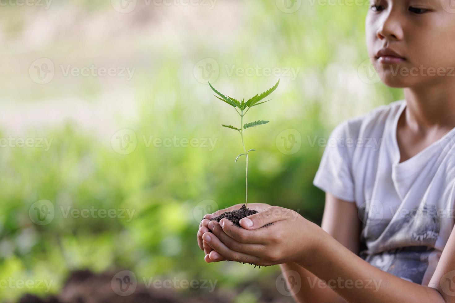 dia da terra do ambiente, criança segurando uma pequena árvore na mão no conceito de conservação de floresta de grama de campo de natureza, plantar árvores para reduzir o aquecimento global. foto