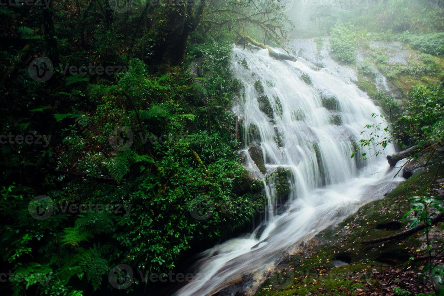 cachoeira na floresta foto