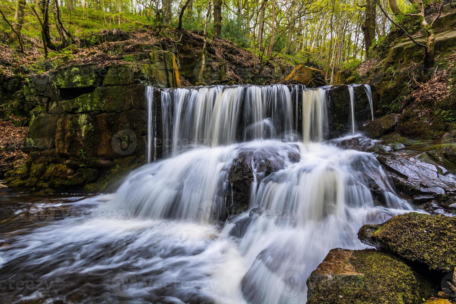 cachoeira de primavera em uma floresta remota e pacífica. foto