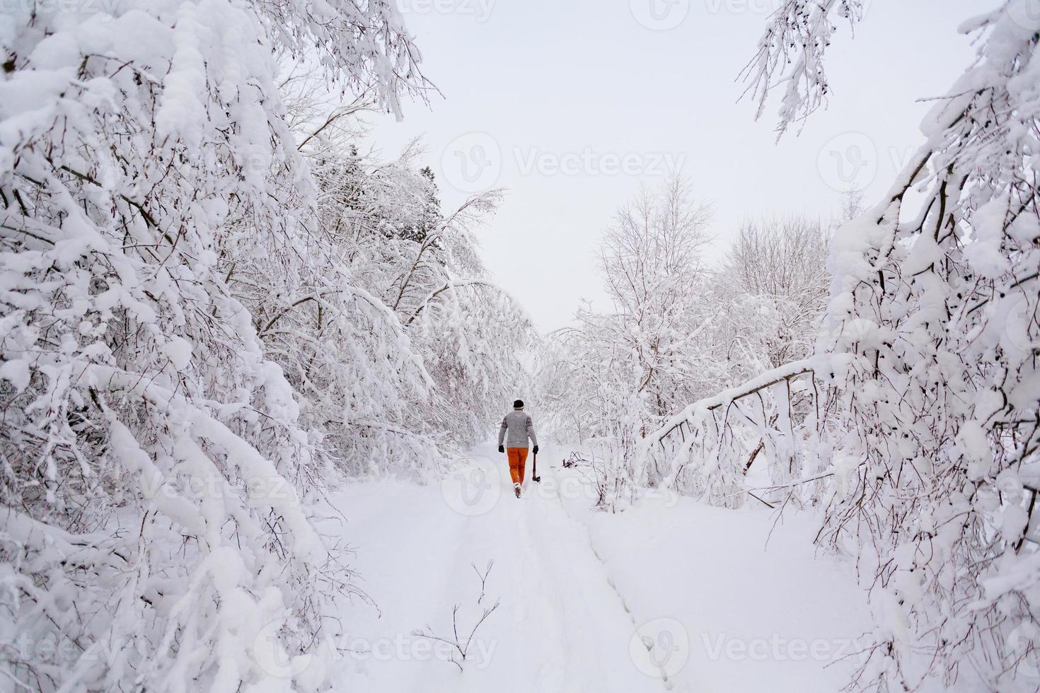 lenhador caminha em uma floresta de neve foto