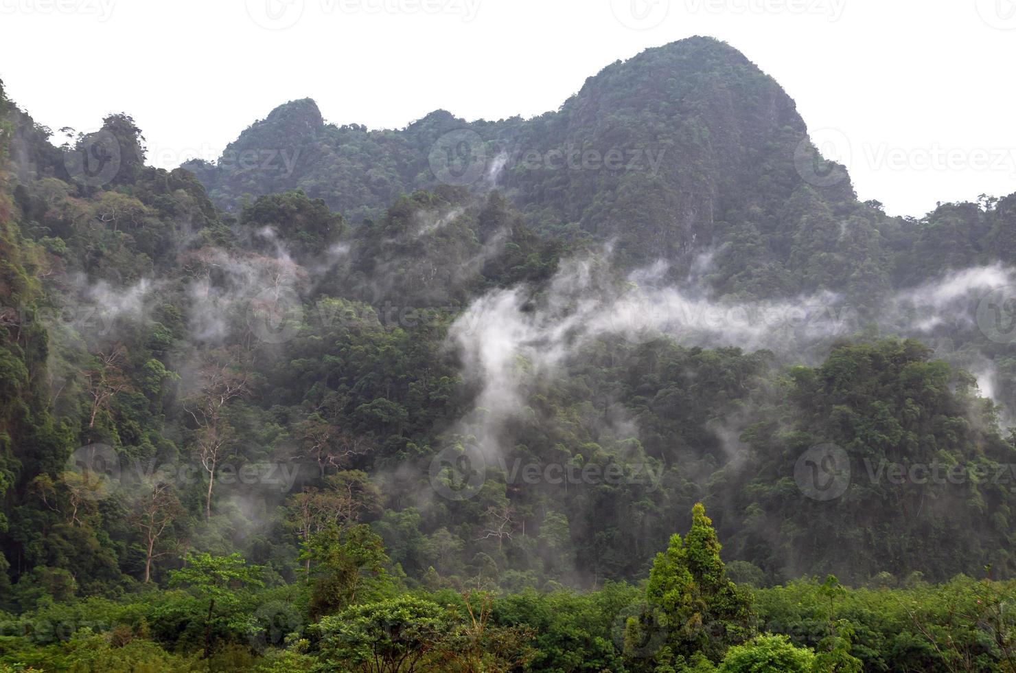 floresta enevoada de árvores na paisagem montanhosa com névoa, Tailândia foto